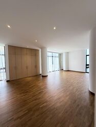 The Colonnade (D10), Condominium #519853991
